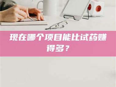 甘肃现在哪个项目能比试药赚得多？