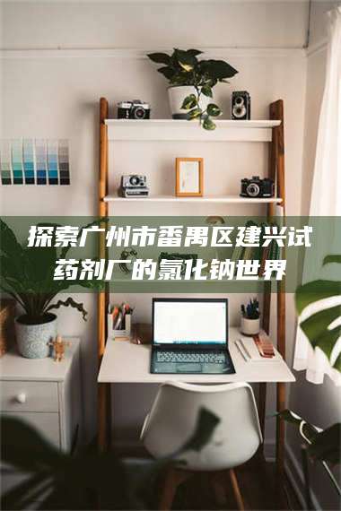 甘肃探索广州市番禺区建兴试药剂厂的氯化钠世界 第1张 甘肃探索广州市番禺区建兴试药剂厂的氯化钠世界 第1张