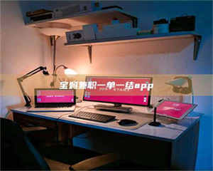 甘肃宝妈兼职一单一结app 第1张