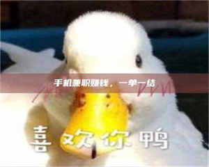 甘肃手机兼职赚钱，一单一结 第1张